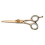 HAIR SCISSORS - TITANIUM SERIE - 440C Kiepe - 1