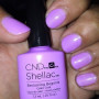 Shellac nail polish - BECKONING BEGONIA