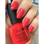 Shellac nail polish - LOBSTER ROLL