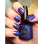 Shellac nail polish - PURPLE PURPLE