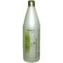 Shampoo Citric Balance 01 Salerm - 2