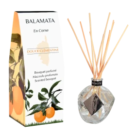 Home fragrance reed diffuser - Douce Clémentine, 100ml