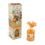 CANELA NARANJA, MAGIC FLOWER DIFFUSER, 100 ML, PRADY