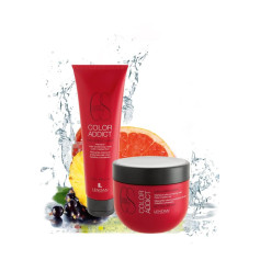 COLOR PROTECTION MASK, 150 ml. Lendan - 1