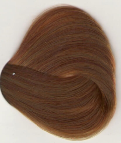 sv673 - dark blond golden brown